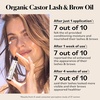 image:imageSky Organics Organic Castor Oil  Glass Bottle  for Hair Lashes amp Brows 100 Pure ColdPressed USDA Certified Organic to Strengthen Moisturize amp Condition 16 fl OzLash  Brow  Applicator